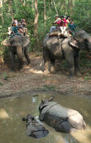 Chitwan National Park